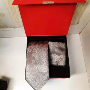Grijze Paisley Stropdas en Pochet